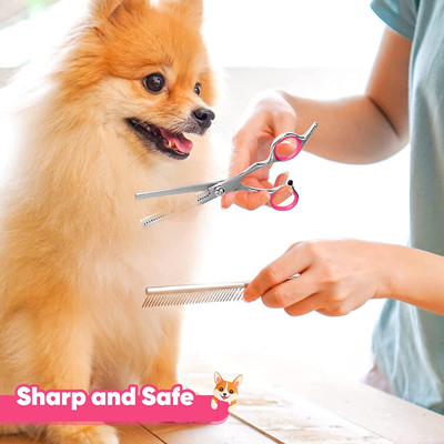 6 In 1 Stainless Steel Dog Grooming Scissors Kit With Safety Round Tips