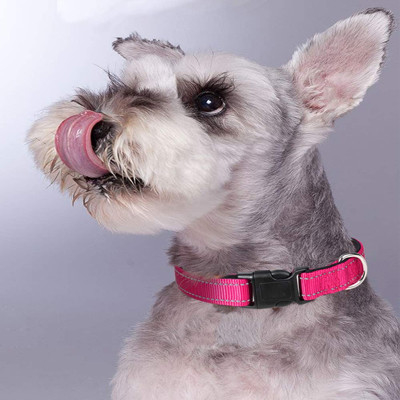 Breathable Nylon Reflective Dog Collar Multicolor Adjustable