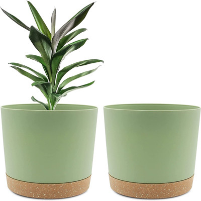Indoor Plastic Green Plant Pots With Drainage Holes And Removable Base