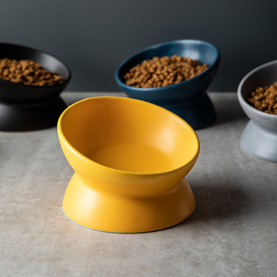 Multicolor Ceramic Raised Cat Bowls Elevated Porcelain For Pet